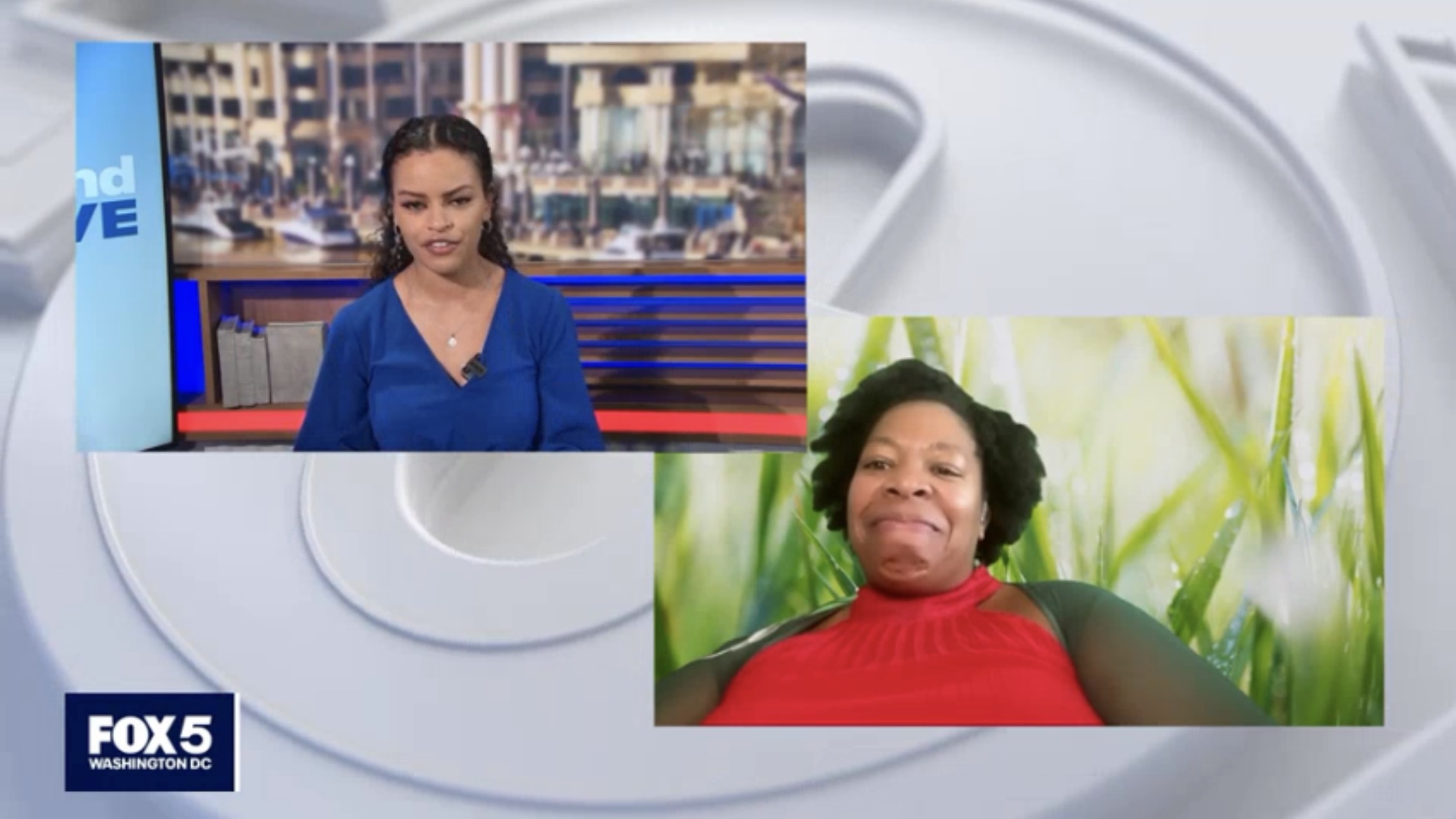 Nicole S. Palmer in conversation with Sina Gebreab on FOX 5 Weekend Live